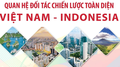 Vietnam–Indonézia átfogó stratégiai partnerség