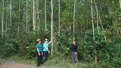 Spreading the spirit of sharing through the livelihood garden model.