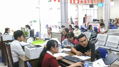 Esforzándonos por lograr la satisfacción ciudadana