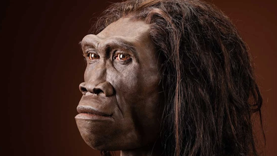 Pembinaan semula wajah Homo erectus berusia 1.5 juta tahun mendedahkan misteri evolusi