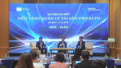Manajemen aset dan model kekayaan hibrida di Vietnam.