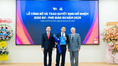 El único profesor de matemáticas designado en 2025 en la Universidad Tecnológica de Ciudad Ho Chi Minh.