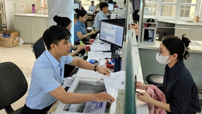 شهر هوشی مین: به ۸۳ بخش و بخش، معاونان رئیس کمیته مردمی دیگری منصوب شده‌اند.