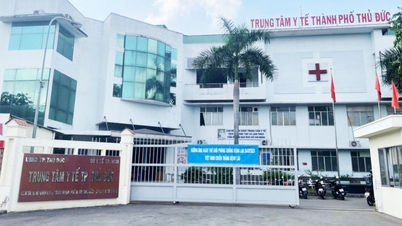 Thirteen regional medical centers in Ho Chi Minh City will be converted into hospitals.
