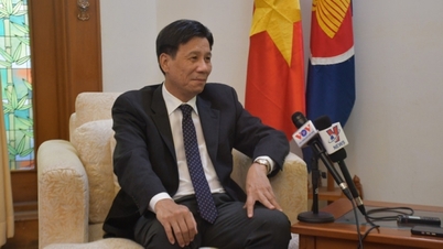 70 ans de relations diplomatiques entre le Vietnam et l'Indonésie : la confiance, gage d'un avenir durable