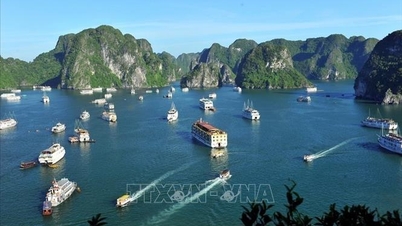 Vietnam wird 2026 zu einem der beliebtesten Reiseziele werden