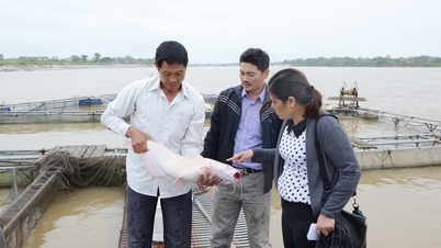 Bac Ninh: Akvakultura si udržuje tempo růstu.