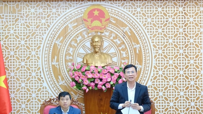 Lâm Đồng quyết tâm hoàn thành “Chiến dịch Quang Trung” trước 15/1/2026