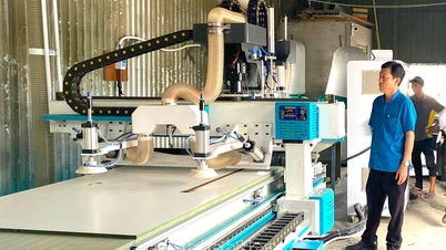 Het ondersteunen van de ontwikkeling van plattelandsindustrieën.