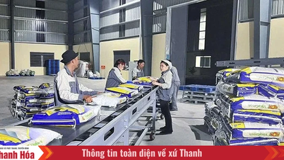 A mezőgazdasági termékek exportpiacainak bővítése.