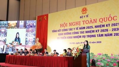 Làm gì để triển khai hiệu quả Chương trình mục tiêu Quốc gia về Chăm sóc sức khỏe, Dân số và phát triển?