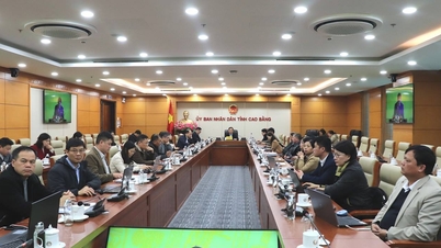 The Ministry of Health organized a nationwide online conference to summarize healthcare work in 2025.