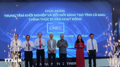 Establish the Ca Mau Provincial Center for Entrepreneurship and Innovation.