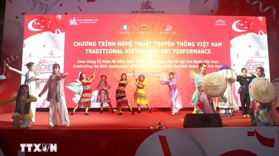 Kiều bào với Tổ quốc: Khát vọng chung tay xây dựng đất nước