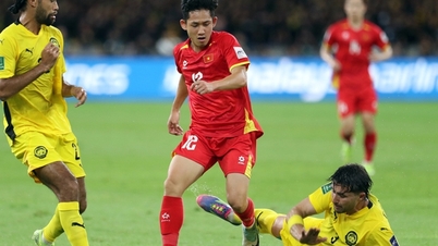 Pasukan kebangsaan Vietnam adalah antara mangsa dalam senarai "sisi gelap" bola sepak dunia pada tahun 2025.