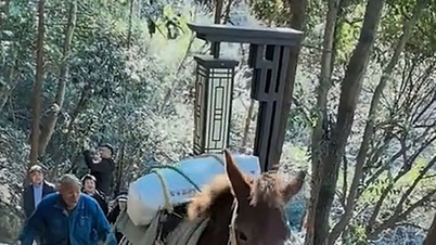 杭州：北高山登山中に携帯電話を見ていた男性が山から転落。