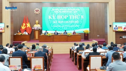 Lifting the IUU 'Yellow Card': Quang Ngai supports the decommissioning of fishing vessels that are no longer engaged in fishing activities.