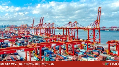 China wird niedrigere Einfuhrzölle auf bestimmte Waren erheben.