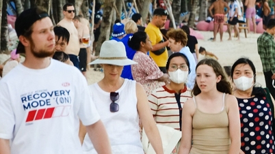 Bedrijven moeten de reputatie en het imago van het toerisme op Phu Quoc tijdens het hoogseizoen hoog houden.