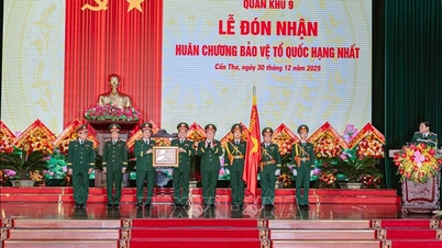 Das 9. Militärregionskommando erhält den Nationalen Verteidigungsorden erster Klasse.