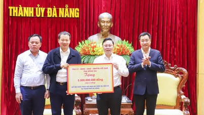 Dong Nai förser Da Nang med 6 miljarder VND för att hjälpa till att återvinna skadorna från naturkatastrofer.