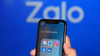 How do Zalo's data collection terms differ from those of other popular messaging apps?