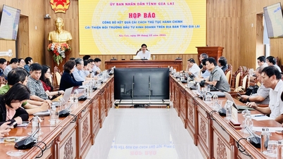 지아라이는 행정 절차 개혁 및 투자 환경 개선의 결과를 발표했습니다.