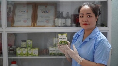 Production-consumption linkage: A lever to elevate the quality of OCOP products in Thanh Hoa.