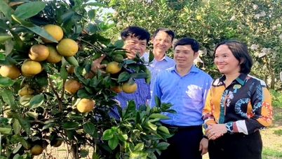 Nông nghiệp Nghệ An tăng trưởng toàn diện