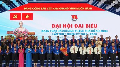 Ciudad Ho Chi Minh necesita que los jóvenes participen en la solución de problemas difíciles.