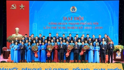 Innovando las actividades del Sindicato de Hanoi por los derechos y la felicidad de los trabajadores.