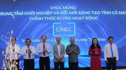 Ca Mau: Establishment of a Center for Entrepreneurship and Innovation
