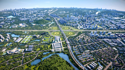 Компания MIK Group официально запускает проект Cat Ba Amatina.