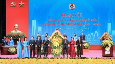 Aufbau einer starken Hanoi-Gewerkschaft im neuen Zeitalter.