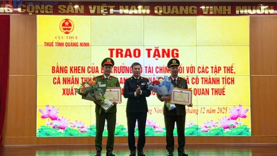 Jabatan Cukai Wilayah Quang Ninh melaksanakan pelan kerjanya untuk tahun 2026.