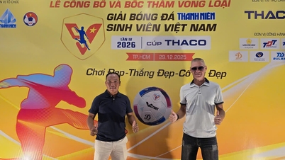 La Universidad Tecnológica de Ciudad Ho Chi Minh - Universidad Internacional tiene un entrenador asistente extranjero: ¡Como un tigre con alas!