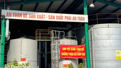 Tre store kjemiske fabrikker i Bien Hoa 1 industrisone akselererer flytteprosessen.