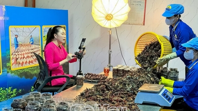 강력한 협동조합 시스템 구축.