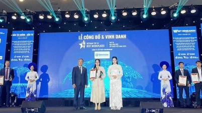 Eurowindow kåret til et av de 10 beste arbeidsstedene i Vietnam i 2025