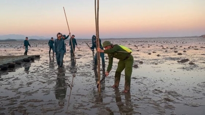 Le barrage de Ha rétablit l'ordre dans l'aquaculture.