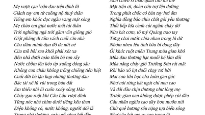 O poezie despre dezastrele naturale din Vietnamul Central, publicată în ziarul Nguoi Lao Dong, a fost inclusă la un examen la literatură pentru clasa a XII-a.