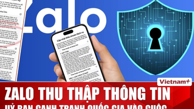 Η Εθνική Επιτροπή Ανταγωνισμού ζήτησε από την Zalo να παράσχει εξηγήσεις σχετικά με την υπόθεση συλλογής δεδομένων.
