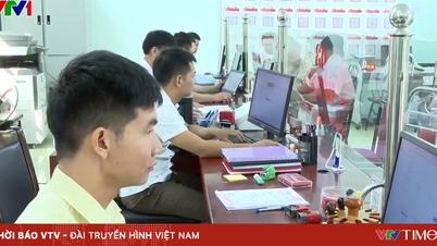 ไลเชา มุ่งมั่นที่จะสร้างความก้าวหน้าผ่านการเปลี่ยนแปลงทางดิจิทัล