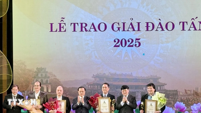2025 Dao Tan Ödülü, 14 kolektif ve bireyi onurlandırıyor.