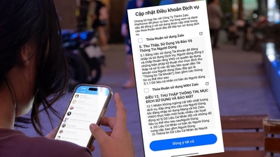 Adakah pengguna Zalo benar-benar membaca terma dan syarat sebelum mengklik 'setuju'?