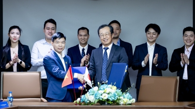 TAN A DAI THANH & SOL ENERGY TECKNAR SAMARBETSAVTAL FÖR ATT UTVECKLA SOLKRAFTIGHET