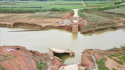 De provincie Thanh Hoa investeert 70 miljard VND in de wederopbouw van de Mo-brug, die door overstromingen werd weggespoeld.