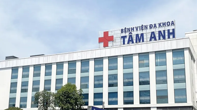Création de l'Université Tam Anh sous l'égide de l'Hôpital Général Tam Anh, à Hô Chi Minh-Ville.