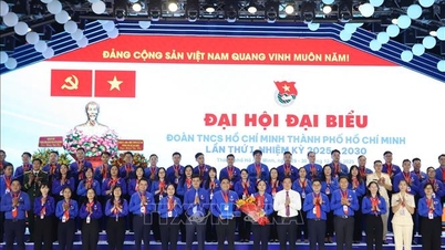 Golongan muda merupakan kuasa penting bagi pembangunan Bandar Raya Ho Chi Minh.