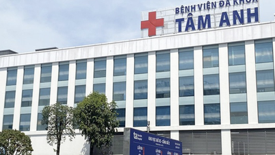 Tam Anh Üniversitesi'nin Kuruluşu